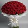 Букет 101 Красная роза Блэк Мэджик в Олу
