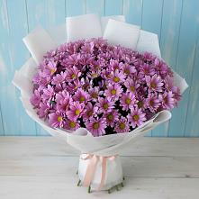 Букет цветов из:  Хризантемы в Олу