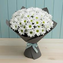 Букет белые хризантемы в Олу Букет цветов из: Хризантемы в Олу