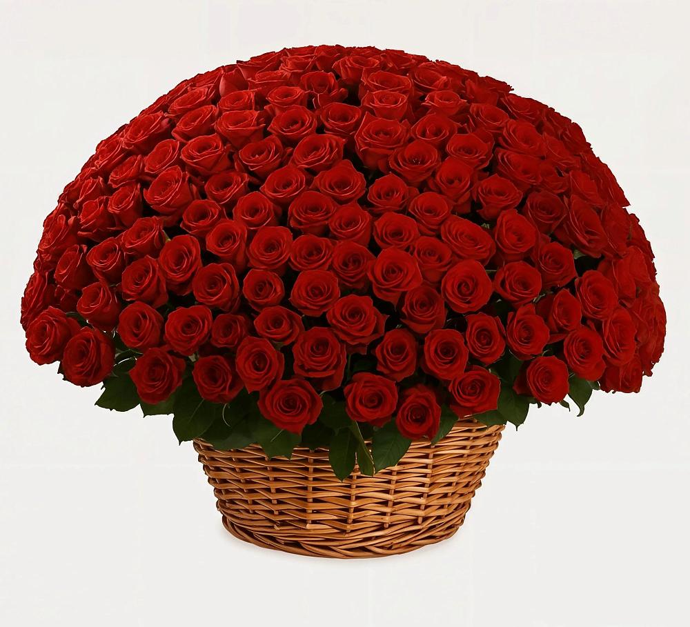 Премиум букет из: Розы в Олу