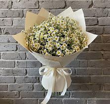 Букет цветов из:  Ромашки #REPLACE_PRED# Олу