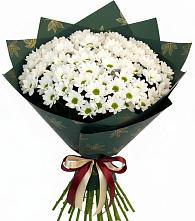 Букет цветов из:  Хризантемы #REPLACE_PRED# Олу