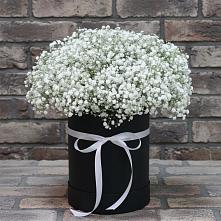 Цветочная композиция из Гипсофила в шляпной коробке #REPLACE_PRED# Олу