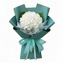 Букет цветов из:  Гортензия в Олу